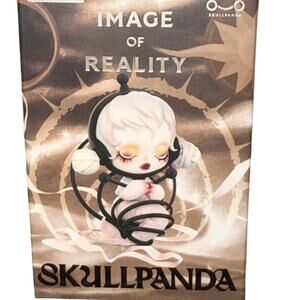 Pop Mart X Skull Panda Image Of Reality Figurine The Philosophy Collectors Item